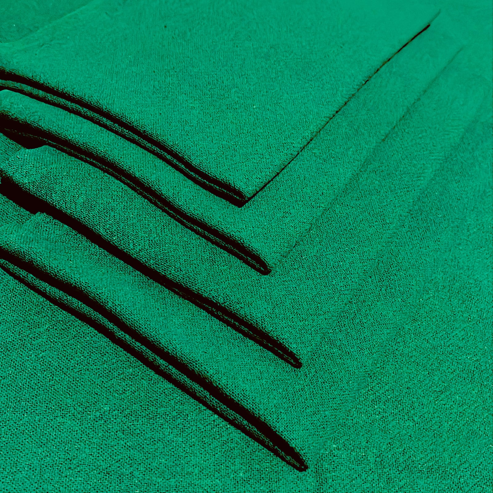 PANO DE PRATO E COPA PP-24 COM BAINHA VERDE 100% ALGODÃO COM 0,48CM X 0,70 CM